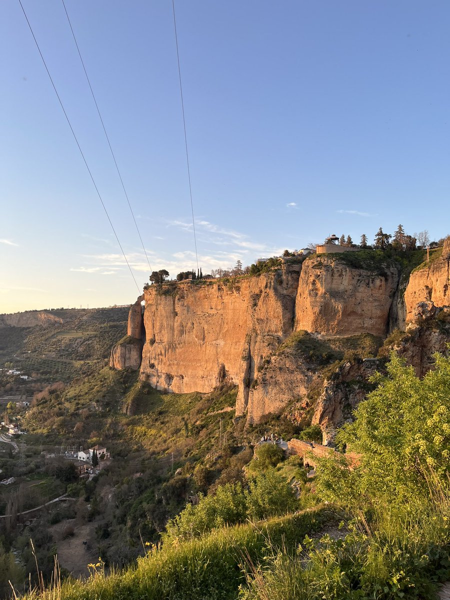 полин, переведи? tweet media