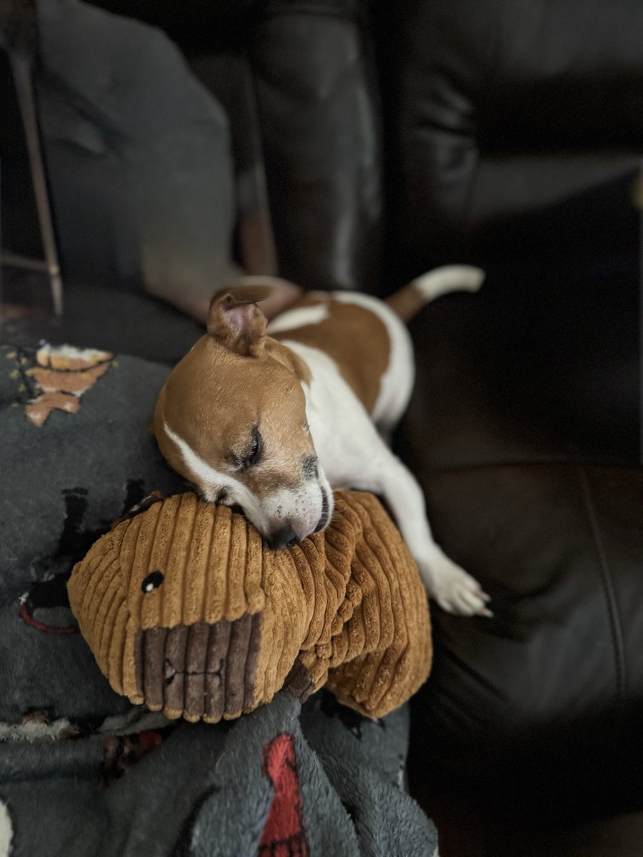 Ray Patterson tweet media