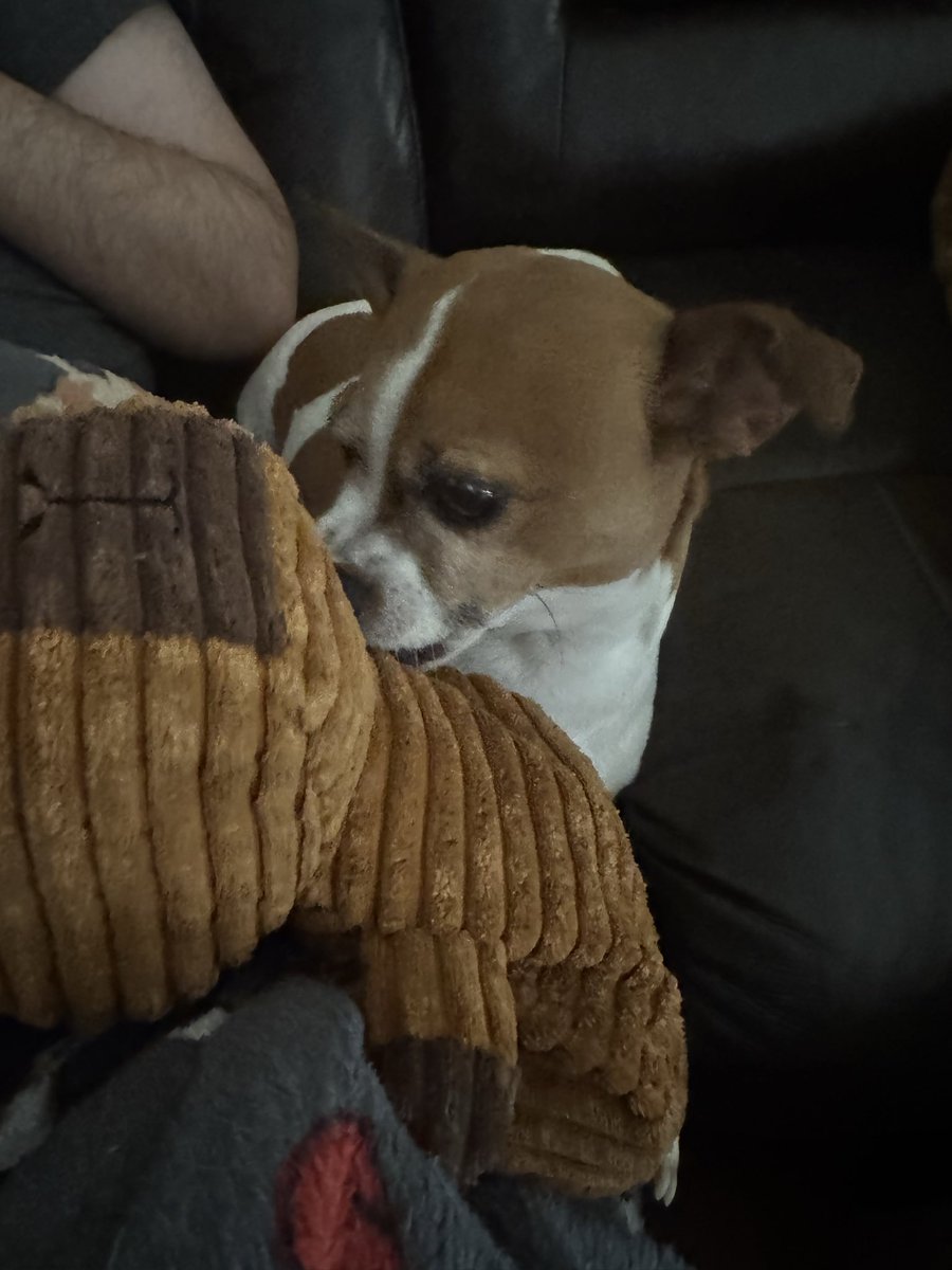 Ray Patterson tweet media