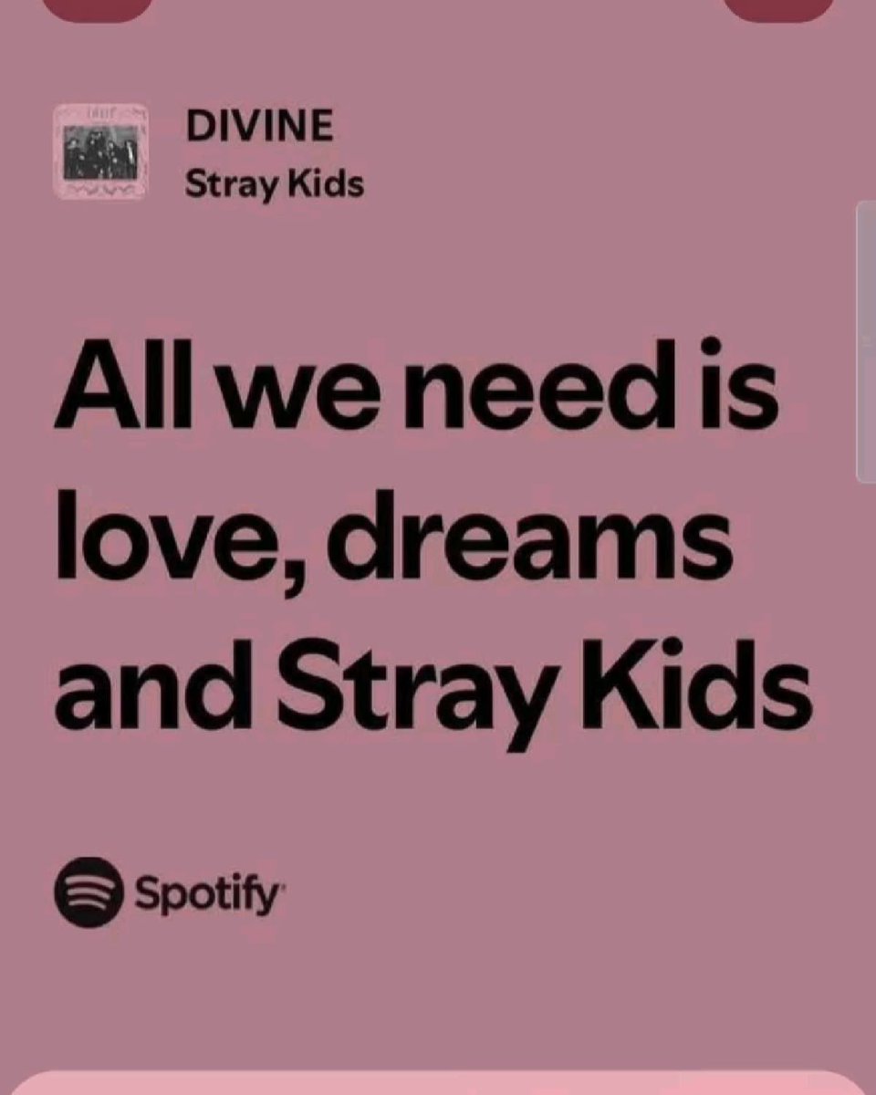 diana🗿saw skz tweet media