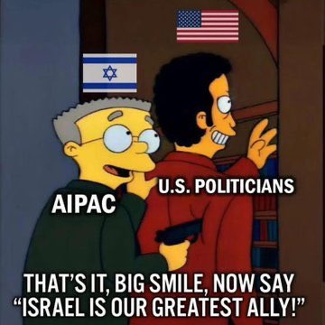 sarahmctsh5 tweet media