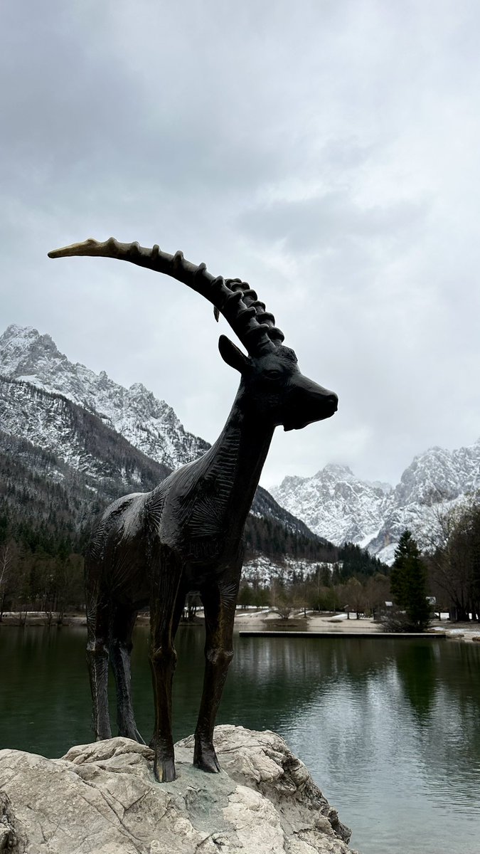 Moa in luv 🩵🪽 tweet media