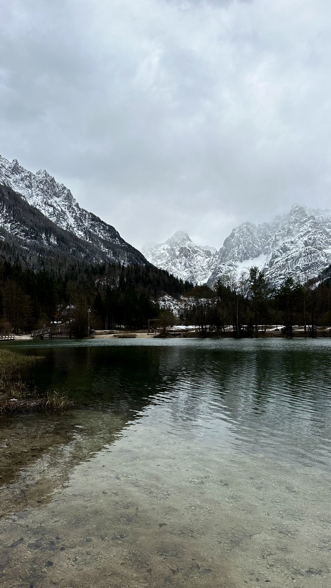 Moa in luv 🩵🪽 tweet media