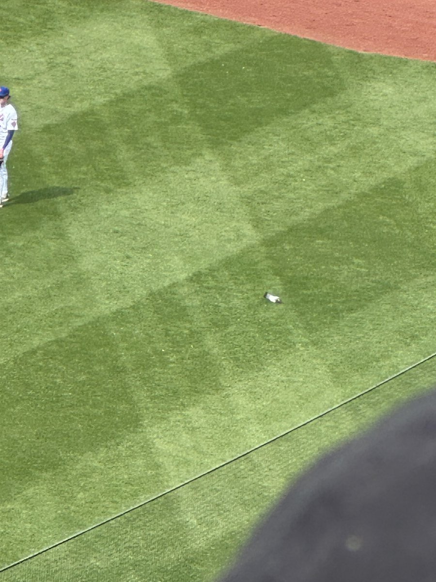 🐣 🐥 tweet media