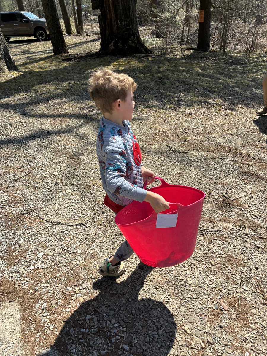 Flip-Top tweet media