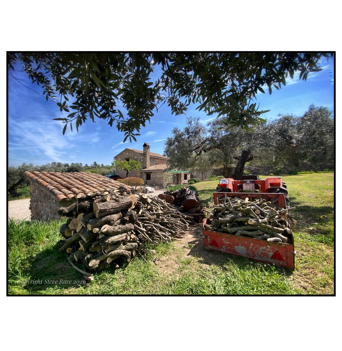 Steve Race tweet media