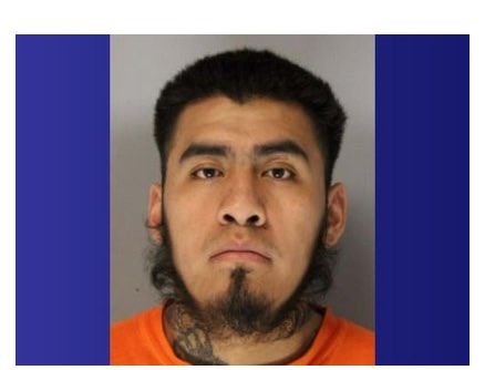 Oilfield Rando tweet media