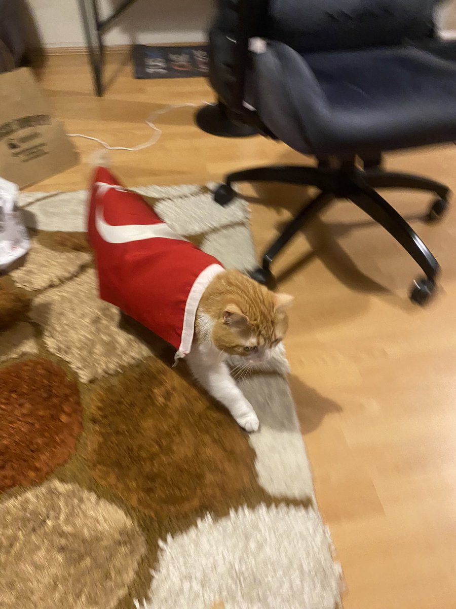 türküz cunhuriyeti gösümüs tumç siperi