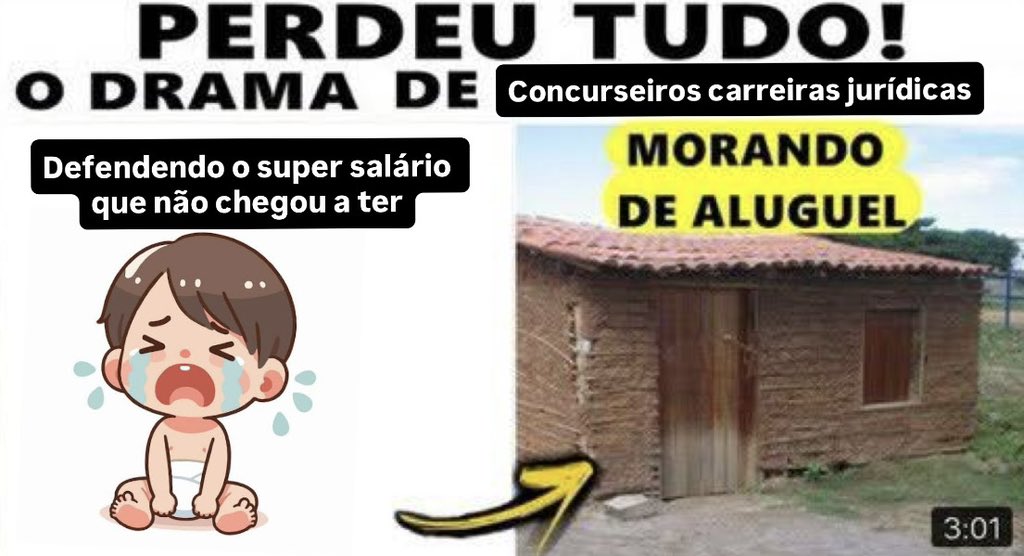 Thainá Almeida tweet media