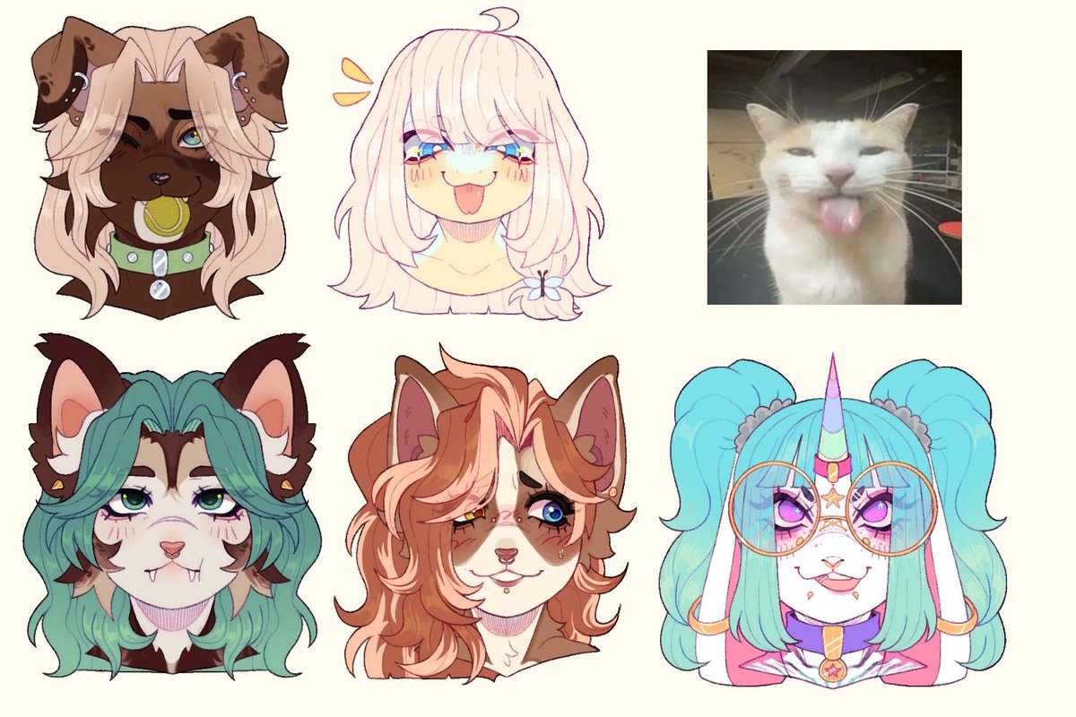 @ratnitty.bsky.social ← tweet media