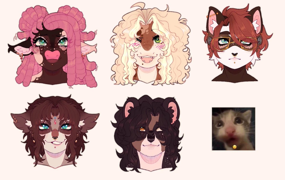 @ratnitty.bsky.social ← tweet media