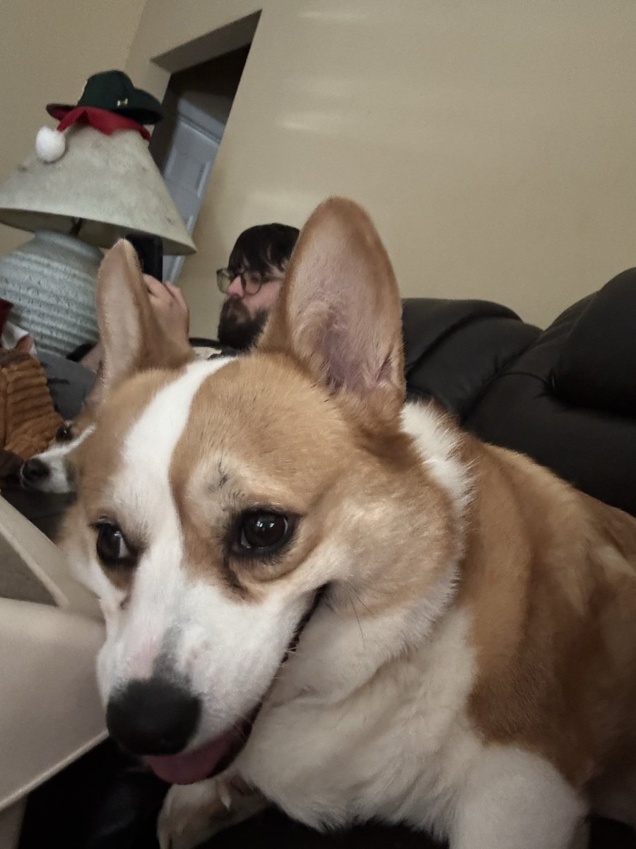 Ray Patterson tweet media