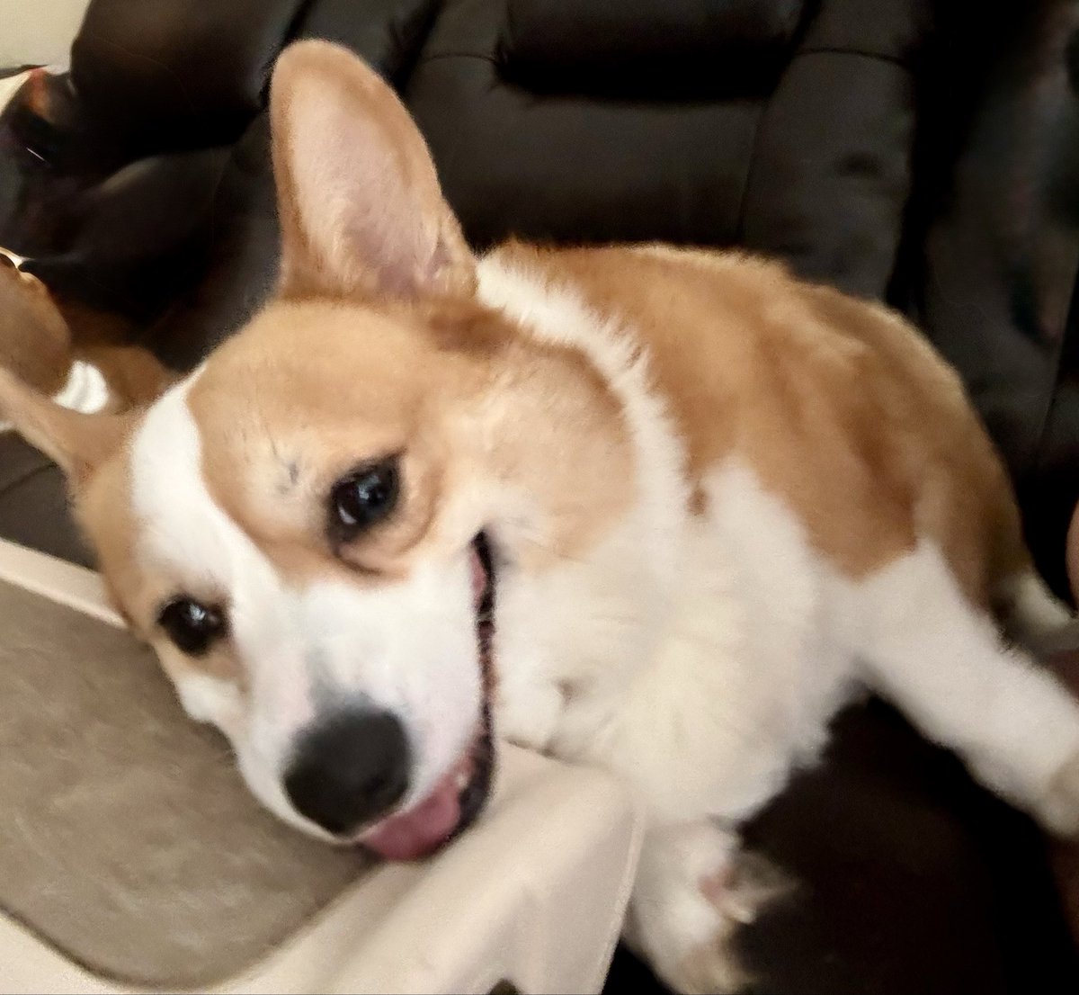 Ray Patterson tweet media