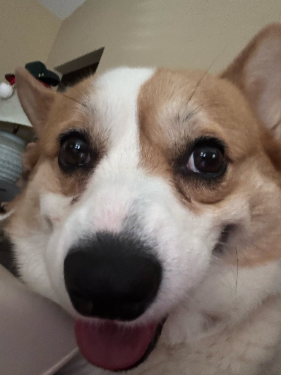 Ray Patterson tweet media