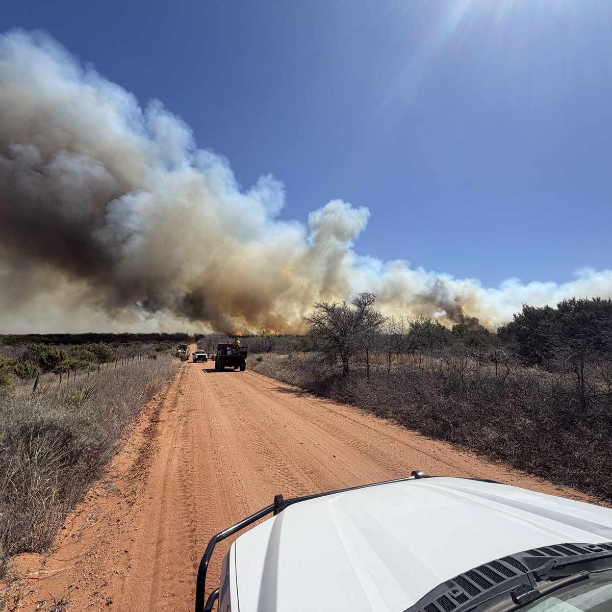 AllHazardsTFS's tweet image. Update: the #BellFire in Dickens County is an estimated 350 acres and 0% contained. Aircraft resources are responding to assist ground crews at this time. #txfire
