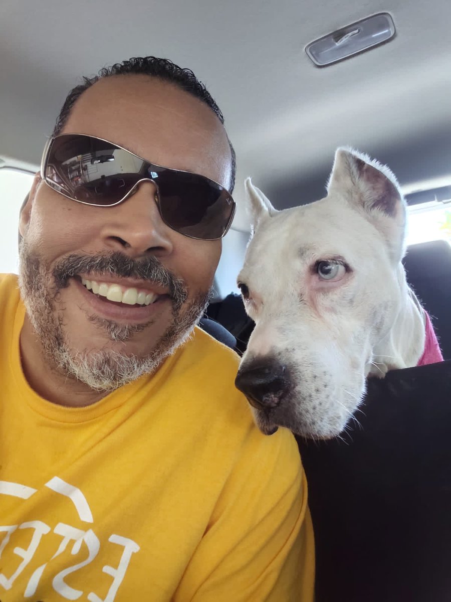 Movimiento Social Pro Bienestar Animal (MOSPBA) tweet media