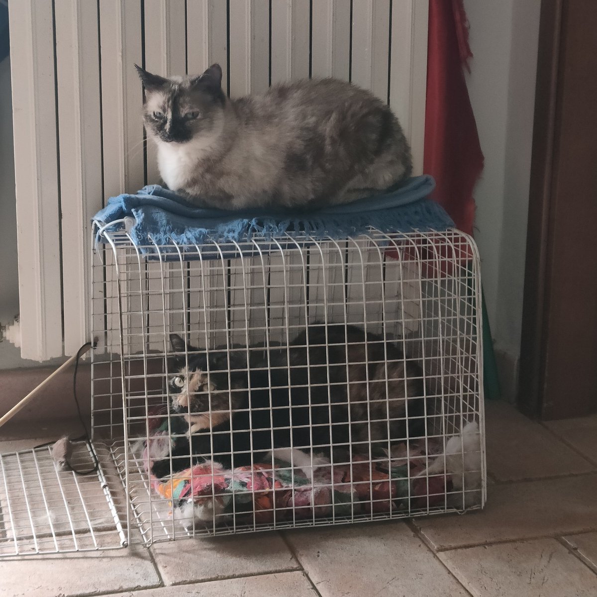 Deposito Prese tweet media