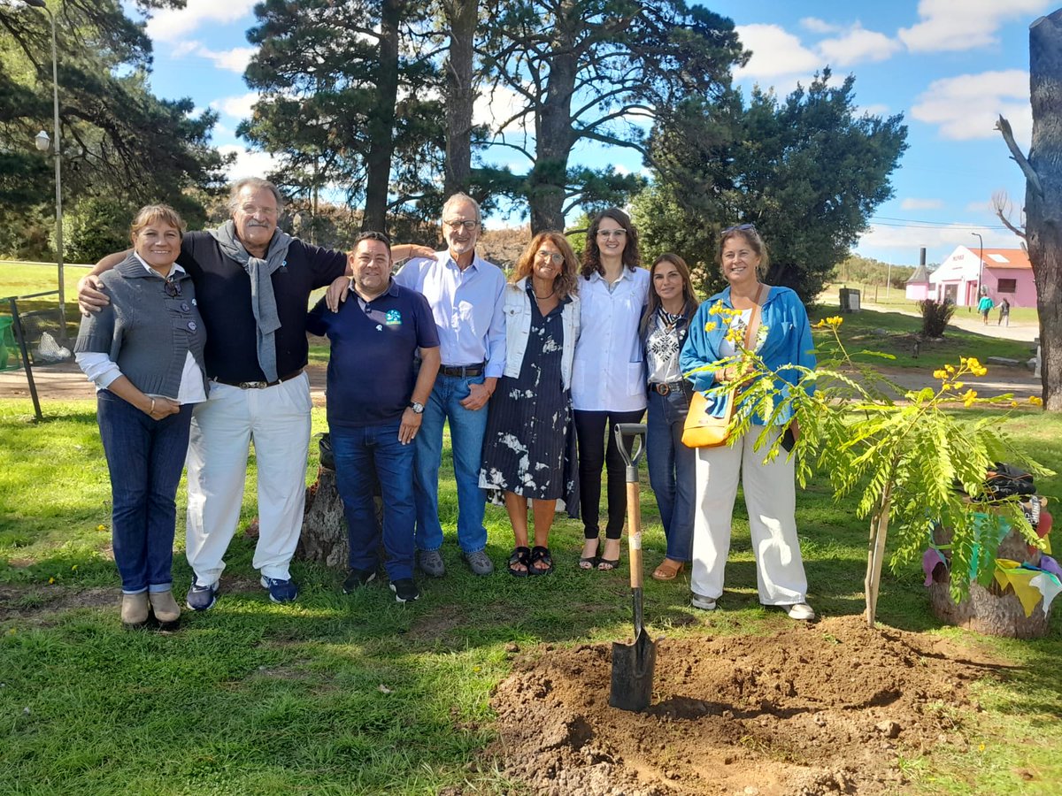 Fundación Alameda tweet media