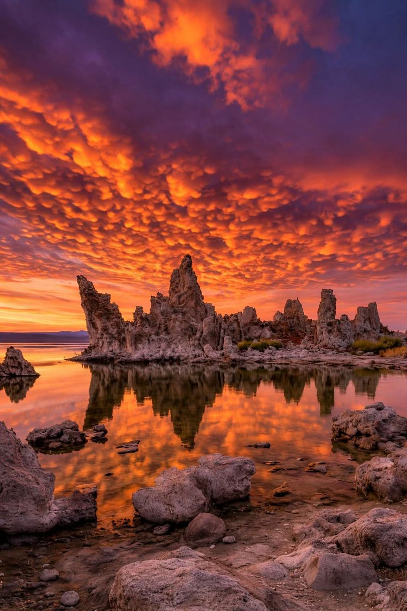 N A T U R E tweet media