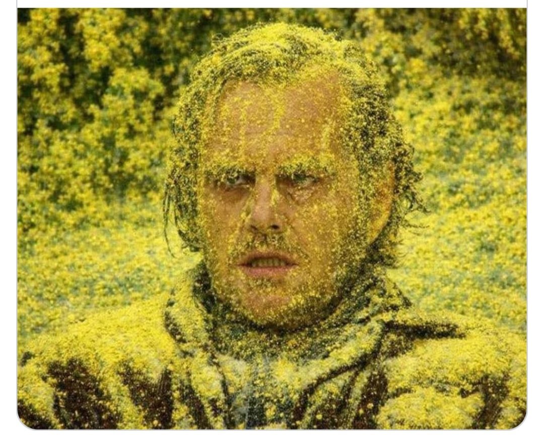 Tech Support 🇺🇸 tweet media