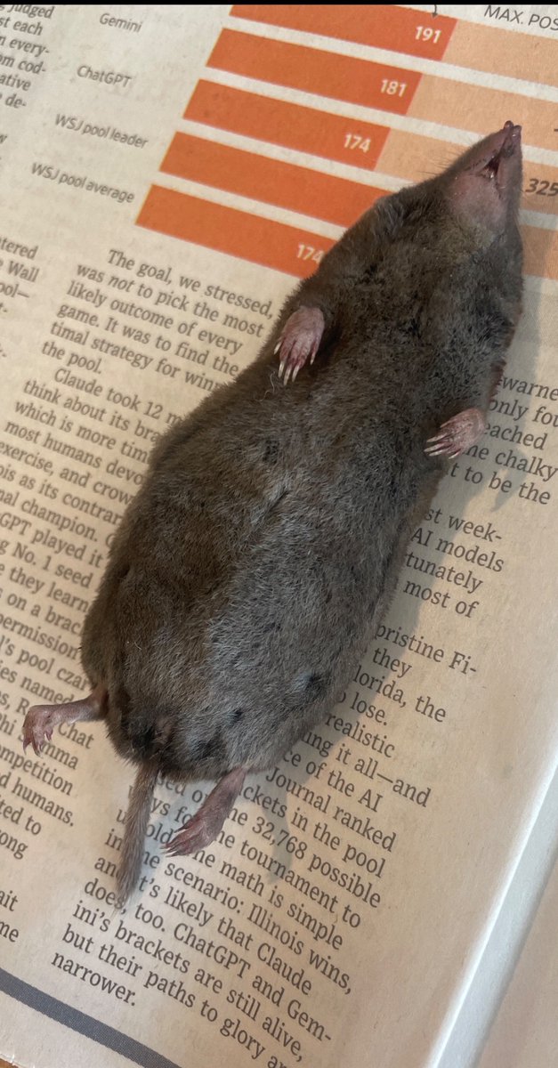 Stefanie tweet media