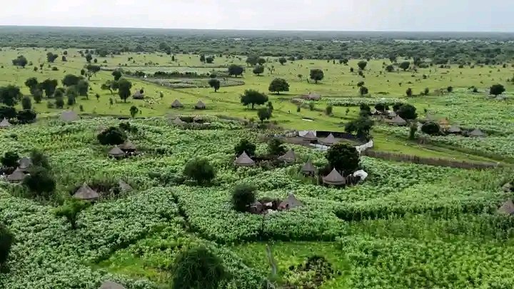 The Nuer people 🇸🇸🇪🇹 tweet media