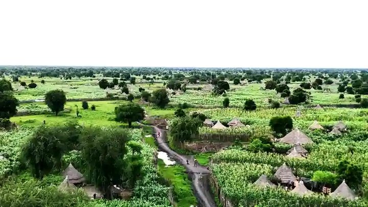 The Nuer people 🇸🇸🇪🇹 tweet media