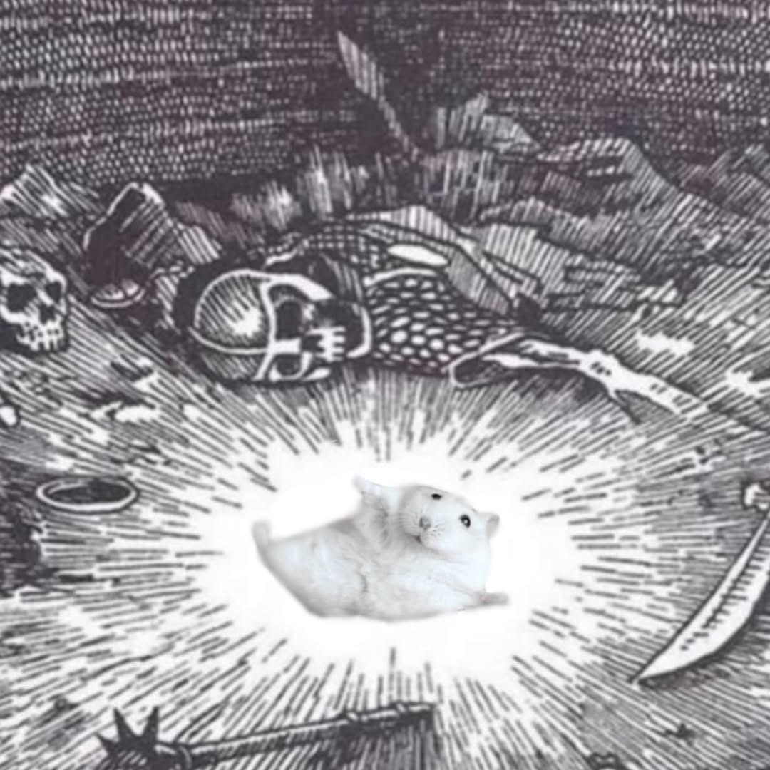 Tweets Of Hamster (@tweetsofhamster) on Twitter photo 