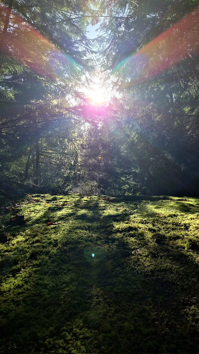 Sketchbook0918's tweet image. Soaking up the #sun and #colors

What a 
#GoodMorning 
indeed 

🌞🌈☀️