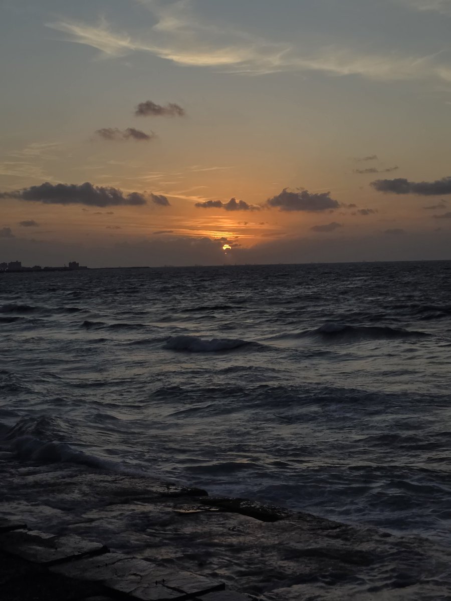 mohamad diab tweet media