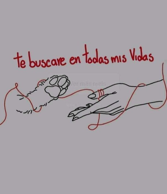 Frases Barbie tweet media