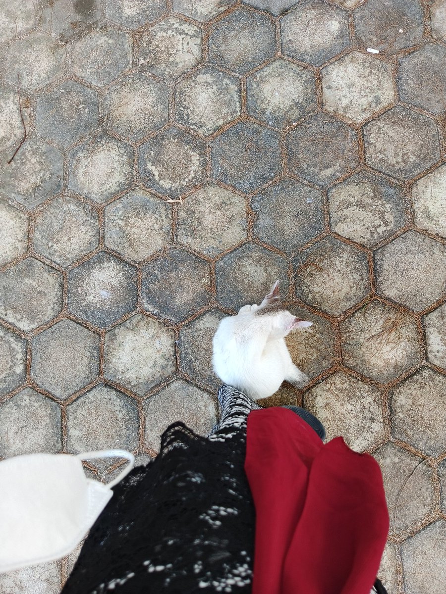 Glendrxyora. tweet media