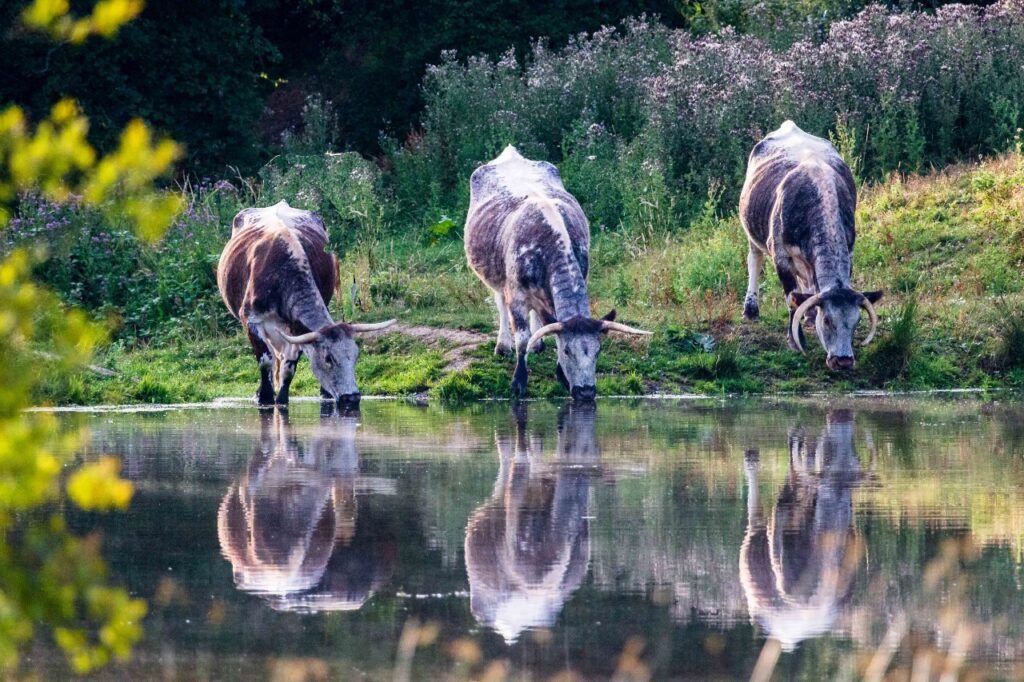 Philip Lymbery tweet media