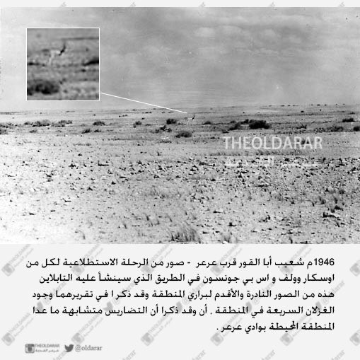 معجم قبيلة عنزة 📖 tweet media