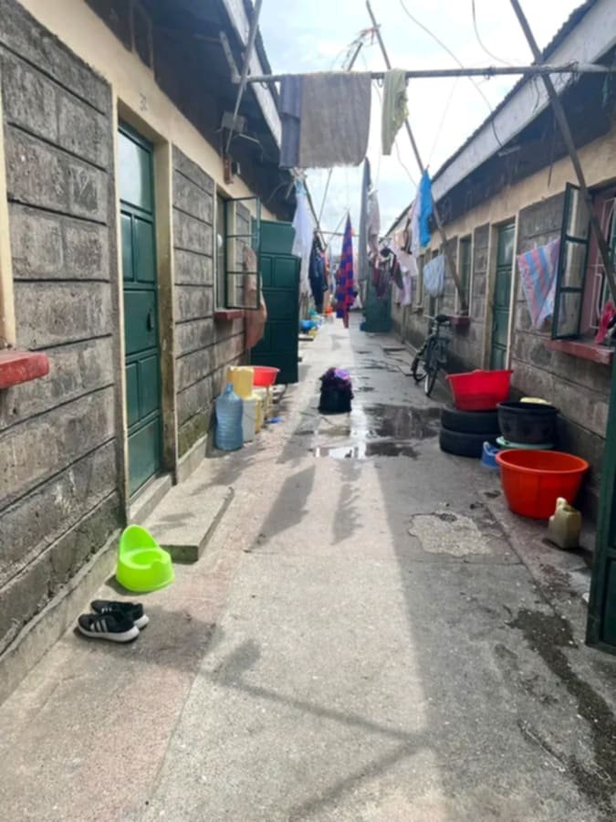 Bush💀 tweet media