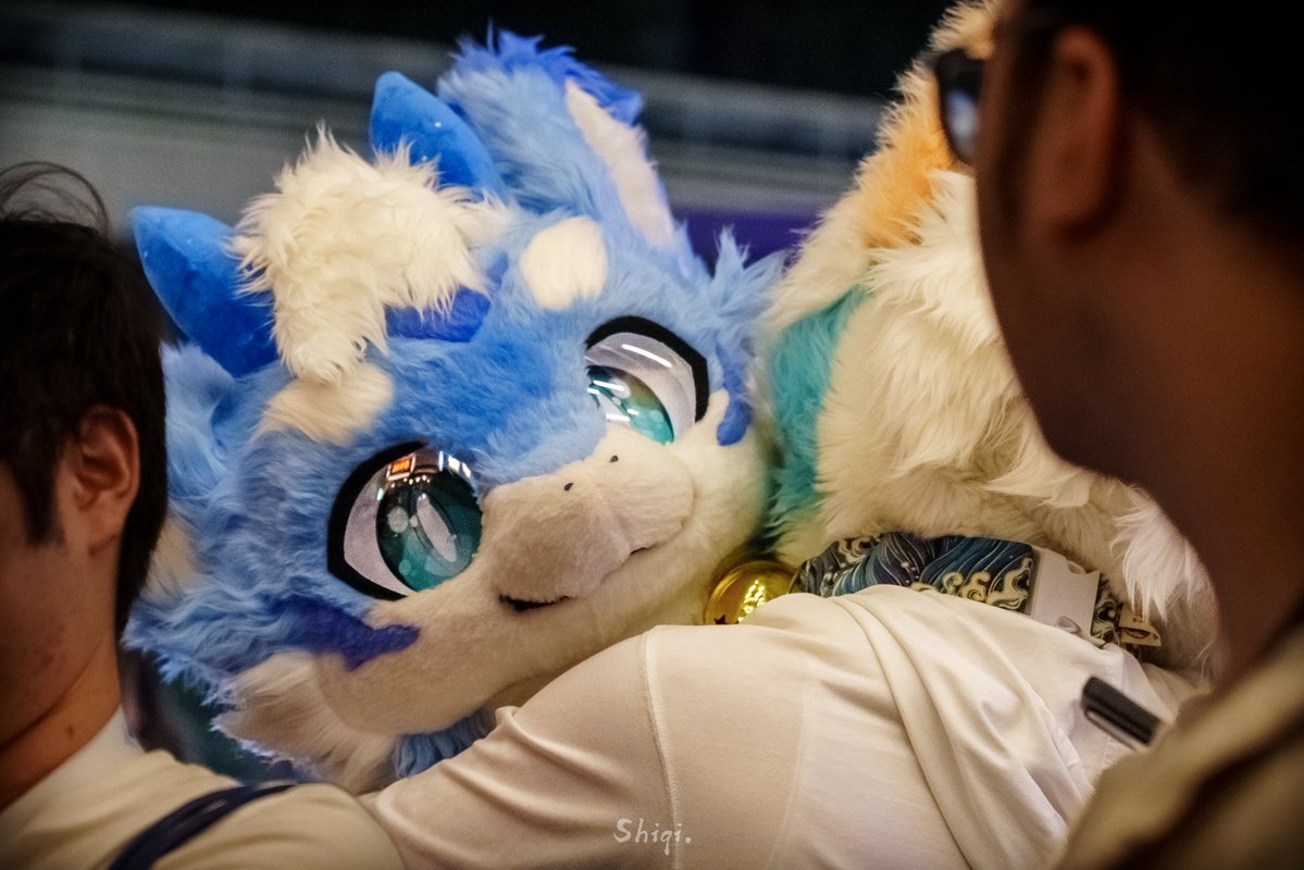 灵海爱吃鱼 tweet media