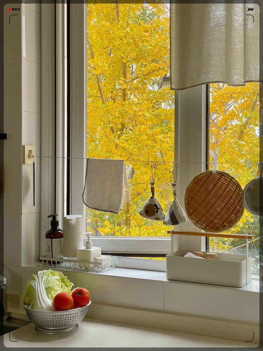 Oliver Jones tweet media