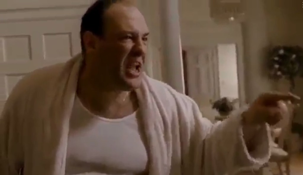 Iggy-Bomb (Comms open) tweet media