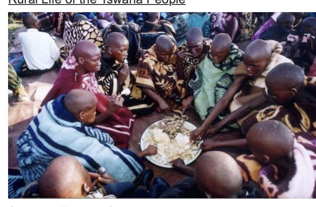 Extracts tweet media