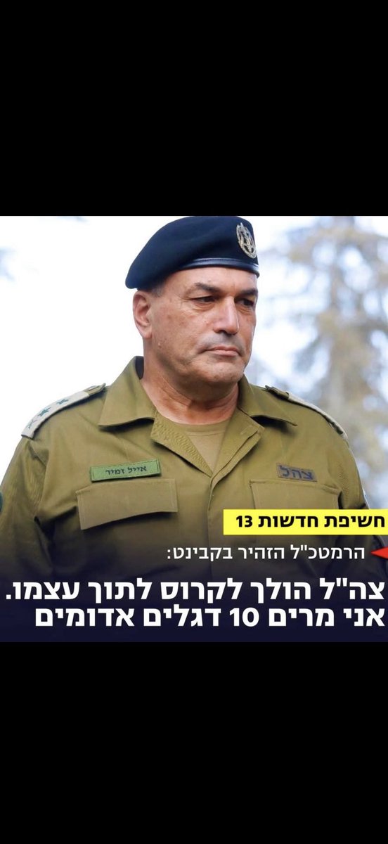 טלי גוטליב tweet media