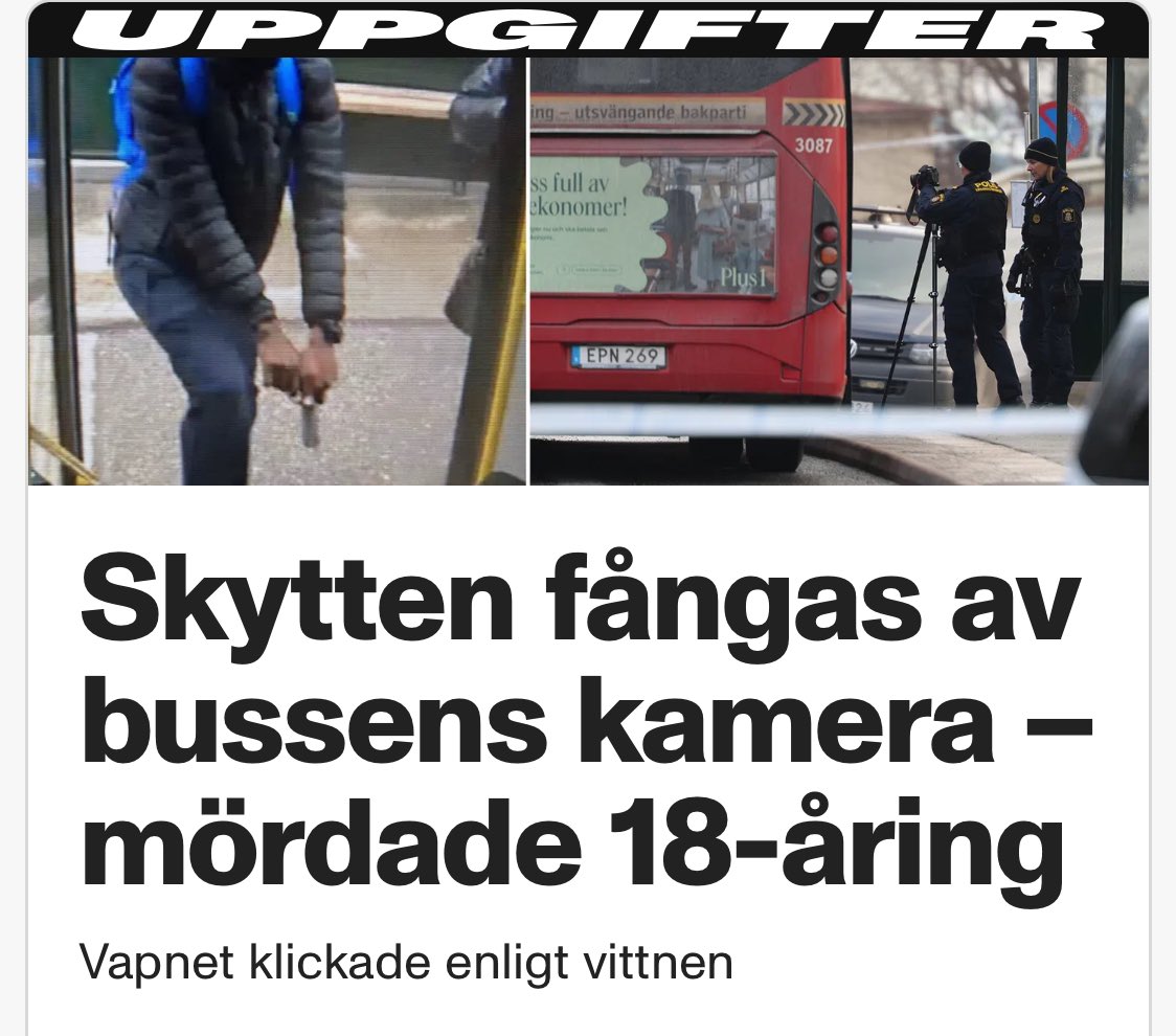 Chauvini 🇸🇪 tweet media