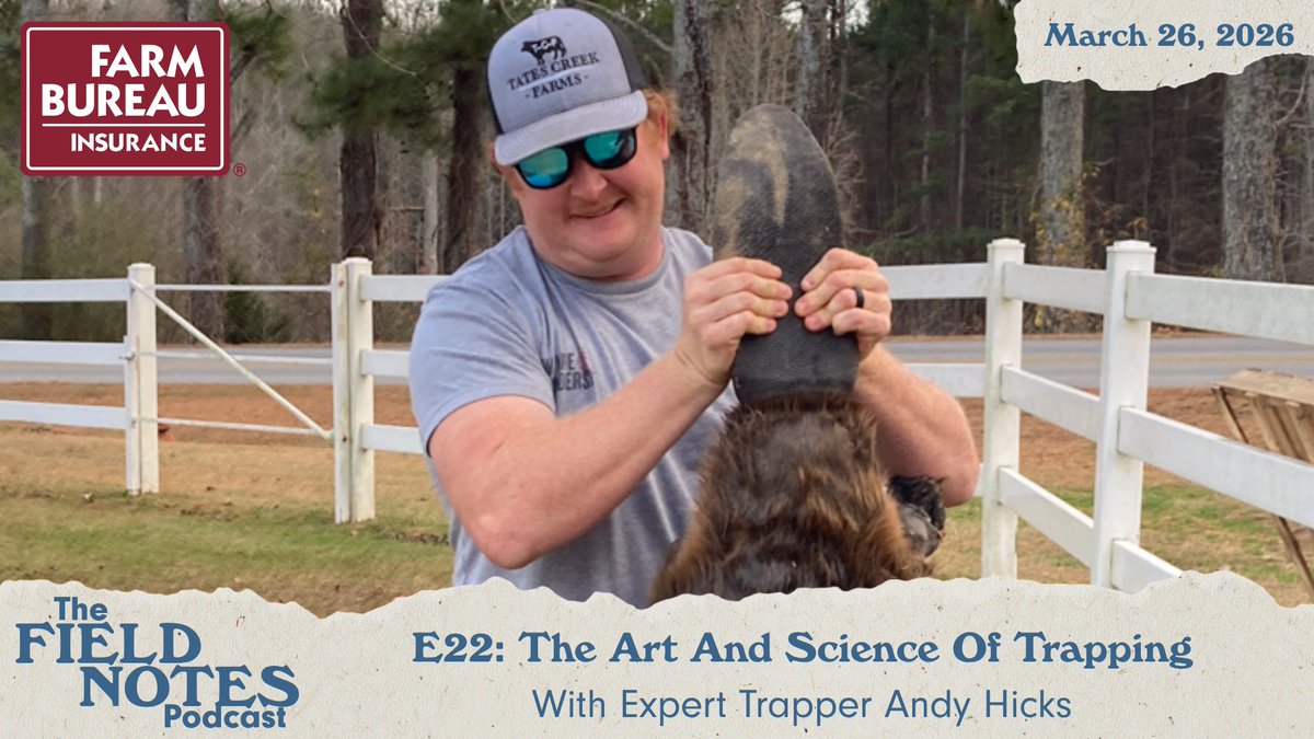 Georgia Outdoor News tweet media