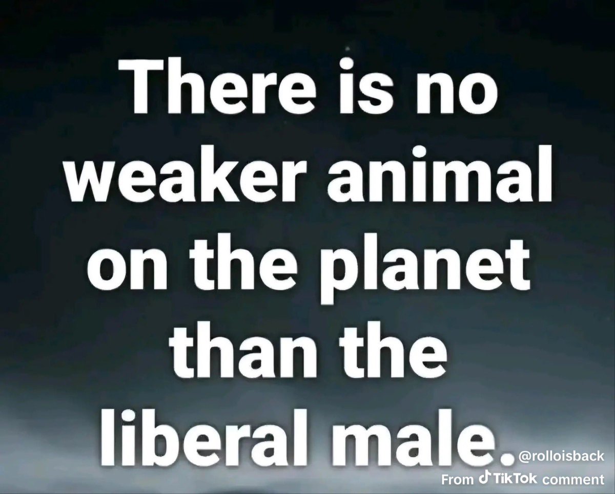 The Savage Patriot tweet media