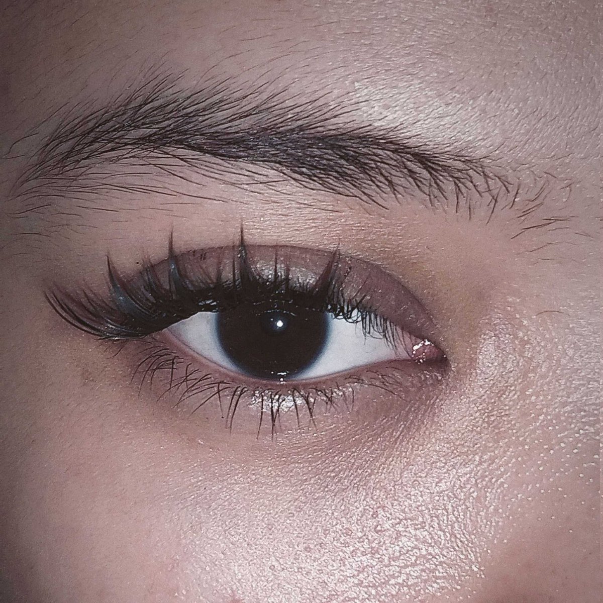 lippiestale's tweet photo. @syuwala yg kaya gini bukan kak? aku pake punya mlen diary yg dudu fox trs lem nya merk magefy dia kuat bgtt https://t.co/gX1v20IuK8
