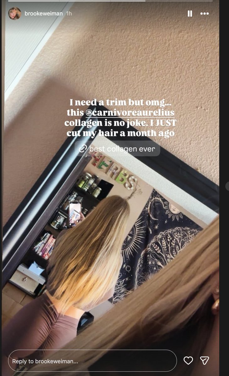 Carnivore Aurelius ©🥩 ☀️🦙 tweet media