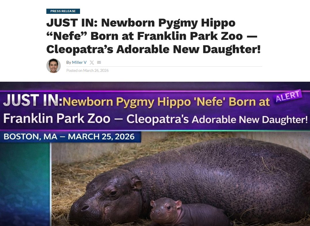 Alex Ma | author of 2 stock investing books tweet media