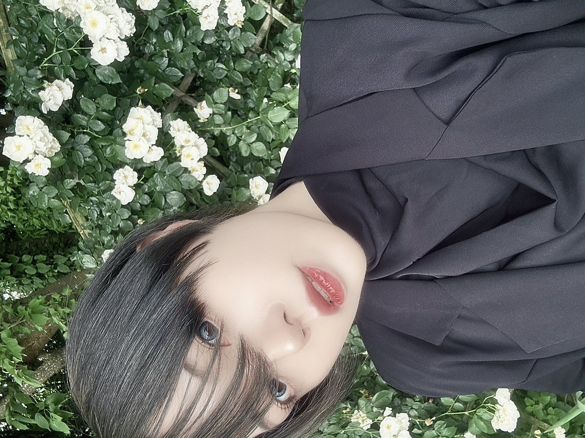 ututuamane's tweet photo. https://t.co/wnw4HFHQQ9