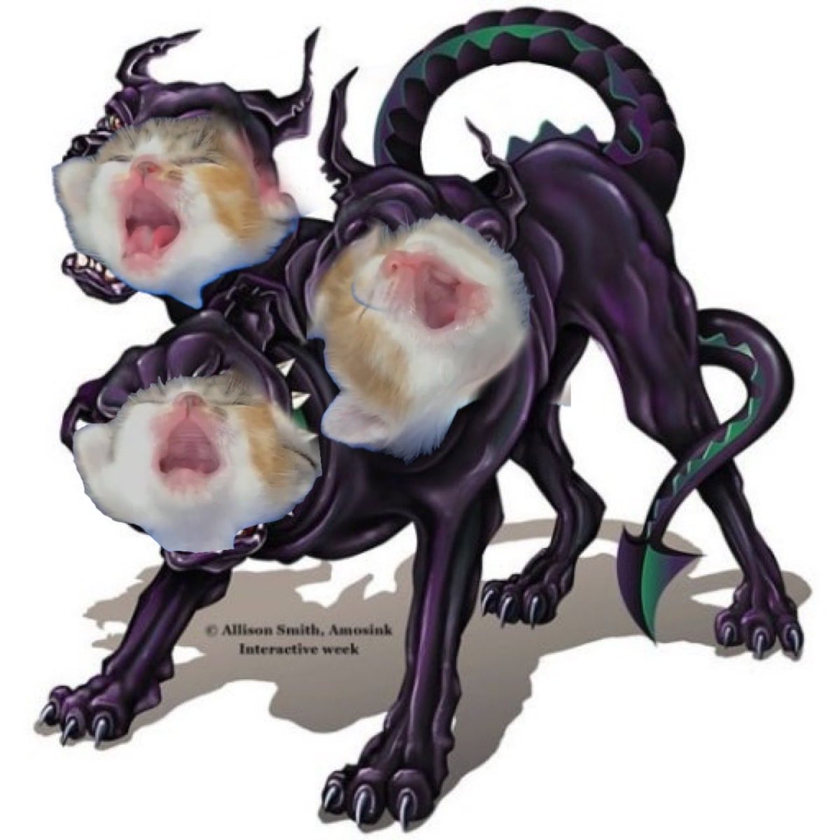 빼빼미 tweet media