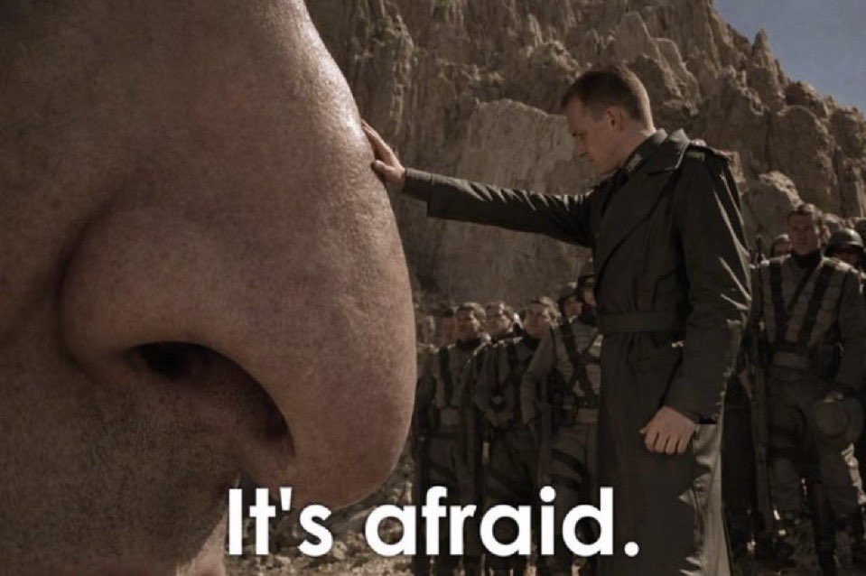 Lance Ballz tweet media