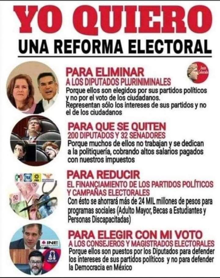 Camilla González fernández tweet media